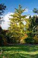 0040Arboretum
