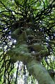 0056Arboretum
