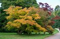 0059Arboretum