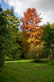 0062Arboretum