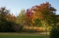 0065Arboretum