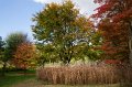 0067Arboretum