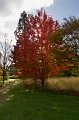 0069Arboretum